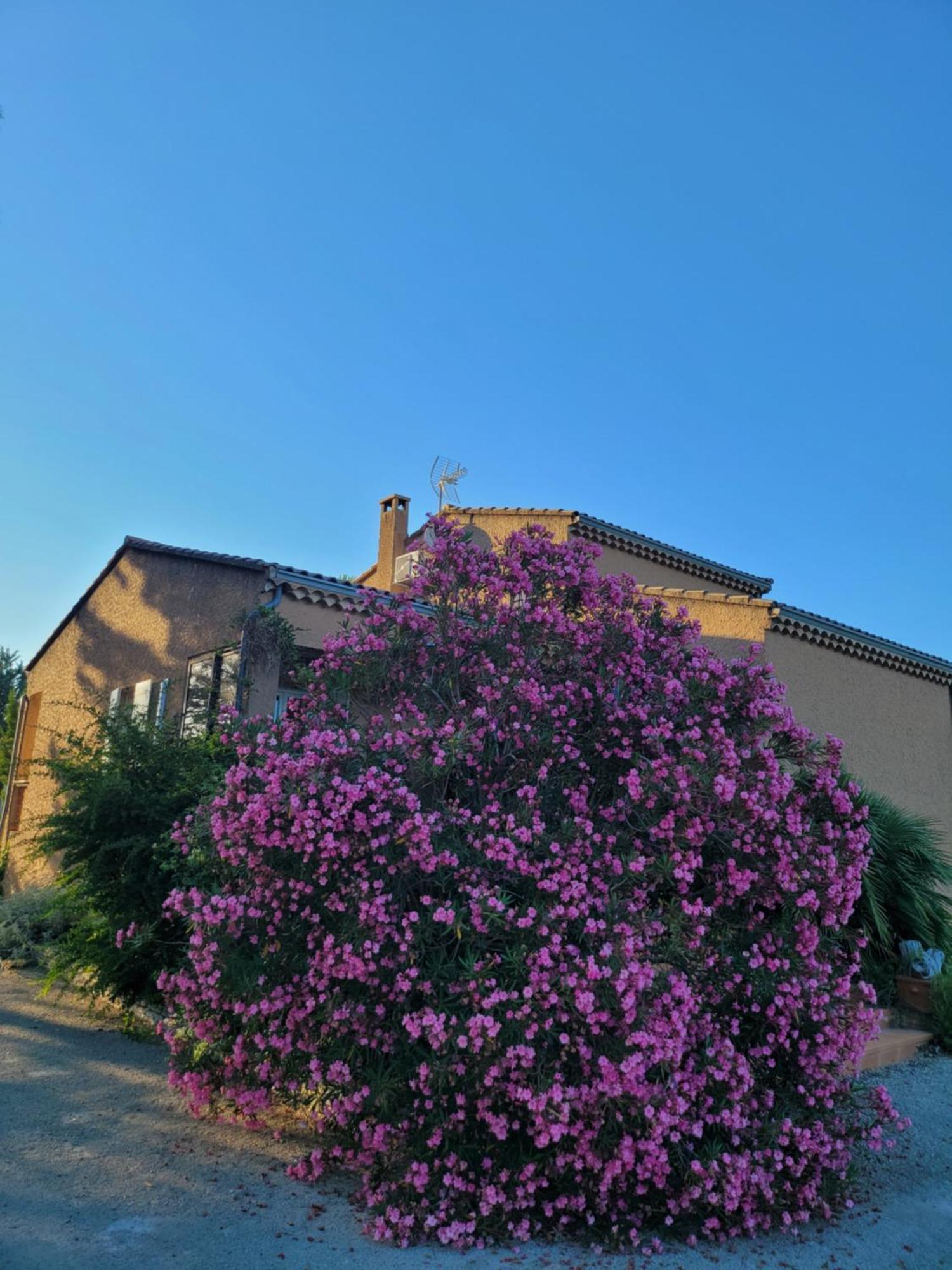 Family First Gargas (Vaucluse) Exterior foto